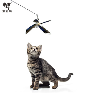 Love Flying Bird Feather Cat Teasing Stick With Bell Rotating Windmill For Cats Pet Interactive Toy - Product Image 1