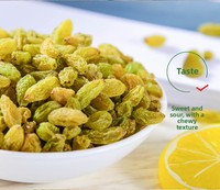 Raisins verts séchés sans pépins de haute qualité chinois en conserve (500g) – Saveur sucrée, idéal comme collation – Vente en gros
