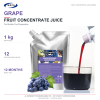 Jus Concentré Purée 10 Saveurs 1kgx12 Sachets Carton Fraise Raisin Pamplemousse Pêche pour Commerces de Boissons