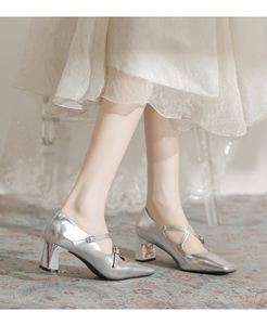Mary Jane Women's Shoes, Shallow Mouth Versatile French Square Toe Retro Silver Buckle <b>Block</b> Heel New Spring Style - Product Image 4