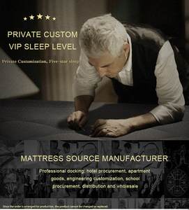 Khách Sạn Giường Với Nệm Lai Đầy Đủ Kích Thước Phòng Ngủ Hiện Đại Nệm Giường Bộ Nhớ Bọt Cao Su Túi Mùa Xuân Nệm - Product Image 3