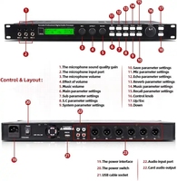 Procesador de Audio Digital DSP X5 Profesional Berase para Karaoke con Preamplificador Digital de Efectos y Mezclador de Sonido con Software para PC para KTV