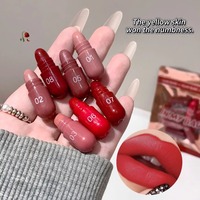 Ensemble de 8 rouges à lèvres crème minéraux en capsule, hydratants, longue tenue et anti-transfert, mini rouges à lèvres mats, vente en gros, Barra De Labios