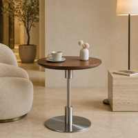 Table basse ronde moderne avec base en acier inoxydable et placage en bois MDF, imperméable et résistante aux taches, meubles pour la maison