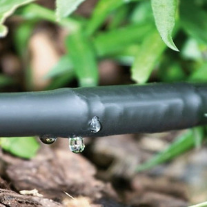 <span class=keywords><strong>Tubo</strong></span> <span class=keywords><strong>Gocciolante</strong></span> con Gocciolatore Cilindrico Interno per <span class=keywords><strong>Irrigazione</strong></span> Giardino - Product Image 4