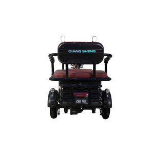 Venta al por mayor de rickshaws eléctricos de alto margen para distribuidores: Triciclo eléctrico para adultos para concesionarios - Product Image 6