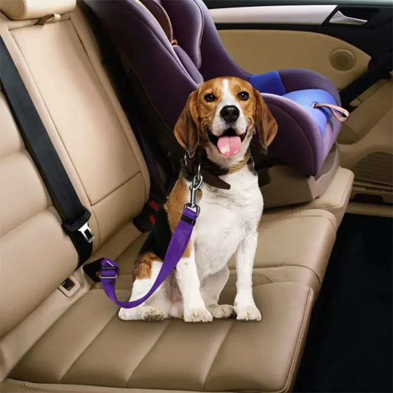Colliers pour animaux de compagnie corde de sécurité voiture laisse mains libres réglable laisse pour animaux de compagnie chien conduit ceinture de sécurité voiture pour animaux de compagnie