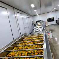 2025 Mango Sap Pulp Verwerkingslijn Voedselsterilisator Pasteuriseur Automatisch 304 RVS ISO 9001 Gecertificeerd