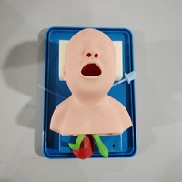 Maniquí de Intubación Endotraqueal para Recién Nacidos, Modelo de Intubación Traqueal Neonatal de PVC, Duradero, Certificado ISO, para Entrenamiento de Vías Respiratorias en Laboratorio