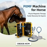 Appareil de magnétothérapie PEMF pour le soulagement des douleurs corporelles des chevaux, machine de physiothérapie PEMF