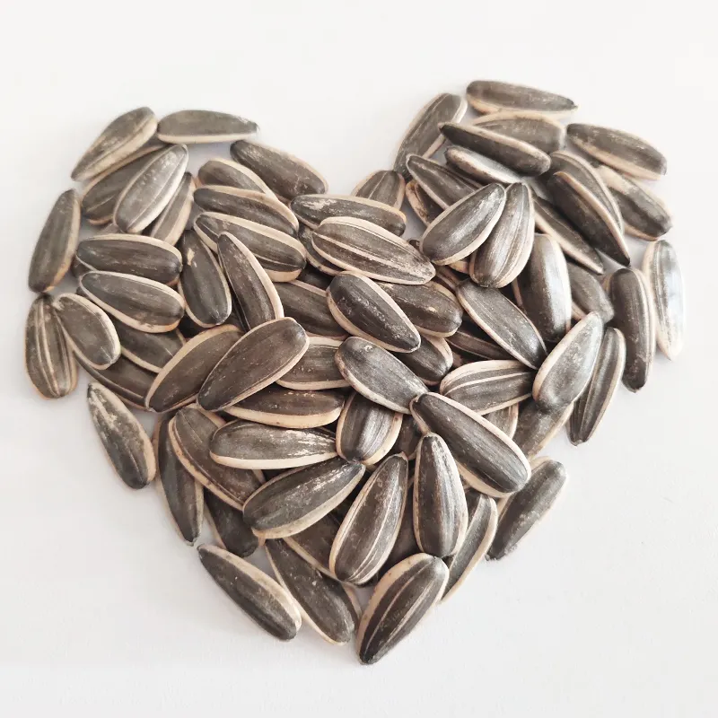 Wholesale Cheap Price Large Quantity Chinese Big Size Sunflower Kernels Seeds