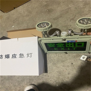 Luz de Señalización de Salida LED Verde de Plástico con 3 Horas de Emergencia, Control por Interruptor y Autodiagnóstico - Product Image 2