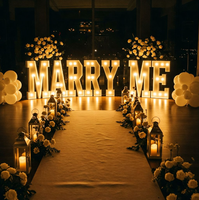 Grandes lettres lumineuses « MARRY ME » avec ampoules, enseigne LED autoportante pour une demande en mariage romantique