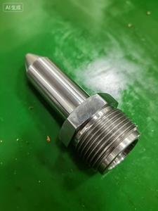 <span class=keywords><strong>Buse</strong></span> <span class=keywords><strong>de</strong></span> moulage par injection super polie miroir, chromée dure, pour ligne <span class=keywords><strong>de</strong></span> production plastique - Product Image 3