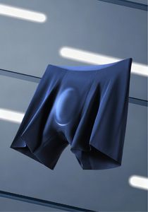 Ropa Interior Masculina de Nuevo Estilo, Calzoncillos Boxer Sin Costuras de Nailon Elástico con Bolsa Moldeada en 3D, Ropa Interior de Pierna Larga para <span class=keywords><strong>Hombre</strong></span> - Product Image 6
