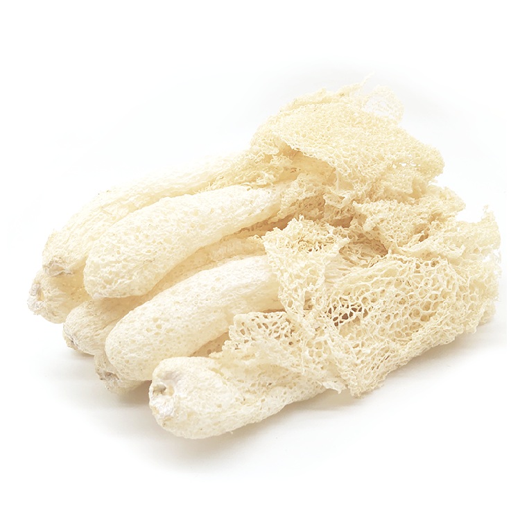 High Quality Wild Dried Bamboo Fungus Dictyophora With Wholesale Prices