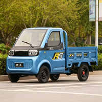 Mini camionnette électrique 4x2 avec benne hydraulique et caméra arrière pour transport tout-terrain