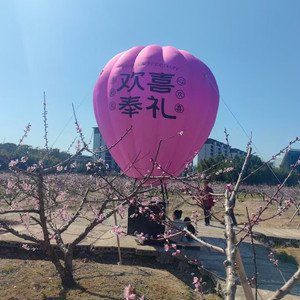 Grand <span class=keywords><strong>ballon</strong></span> à air chaud gonflable stéréo en forme de fleur de cerisier, durable pour l'extérieur, décoration gonflable - Product Image 4