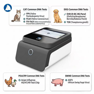 Máquina de PCR en Tiempo Real para Clínica Veterinaria, Prueba de ADN de Patógenos Veterinarios para Caninos, Felinos, Porcinos y Aves - Product Image 3