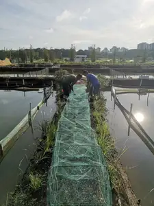 Khung Dây câu cá tôm hùm bẫy hình chữ nhật có thể gập lại cua cá bẫy