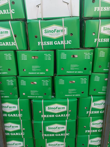 Tươi Tỏi Trắng Nhà Máy Bán Buôn 10Kg/20Kg Túi Lưới/Carton Trung Quốc Tỏi Nhà Cung Cấp Và Tươi Bóc Vỏ Tỏi Bán Buôn Xuất Khẩu - Product Image 5