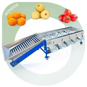 Onion Fruit Vegetable Leaf Cherry Tomato Plum Apple Avocado Size Grader Sorting Grading Line Machine and Clean