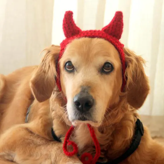 Y-Z Kostum Anjing Tanduk Iblis untuk Topi Anjing Iblis Merah Topi Anjing Setan Halloween Kostum Anjing Lucu Lucu