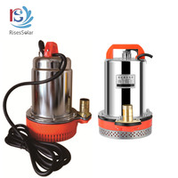 Pompe à Eau Solaire Électrique DC 12V 24V à Basse Pression Submersible pour Engrenage d'Irrigation Agricole et de Jardin OEM