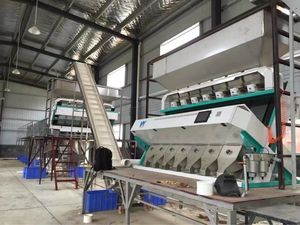 אבטיח אבטיח צבע מכונת סער זרעי דלעת חמניות דלעת אבטיח - Product Image 5