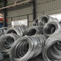 ASTM AISI a soudé l'acier au carbone de ressort de rayon de recuit/acier galvanisé/tailles de fil de tige d'acier inoxydable 630 201 321 310S 302 plus