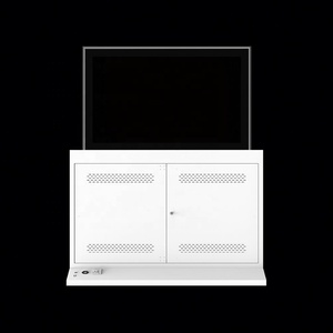 Écran OLED Transparent 55 Pouces pour Kiosques, Théâtres, Musées, Expositions – Lecteur d'Affichage Publicitaire Intérieur – OEM SDK Disponible - Product Image 3