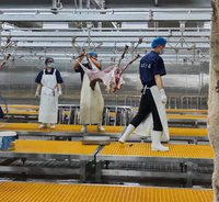Ligne d'abattage rituel des moutons et ligne de transformation, projet d'abattoir de moutons de bout en bout, équipement d'abattoir, outils d'abattage
