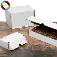 Boîtes d'expédition en carton ondulé blanc pour l'emballage des petites entreprises, boîtes d'expédition écologiques en carton, boîtes cadeaux pliables en papier