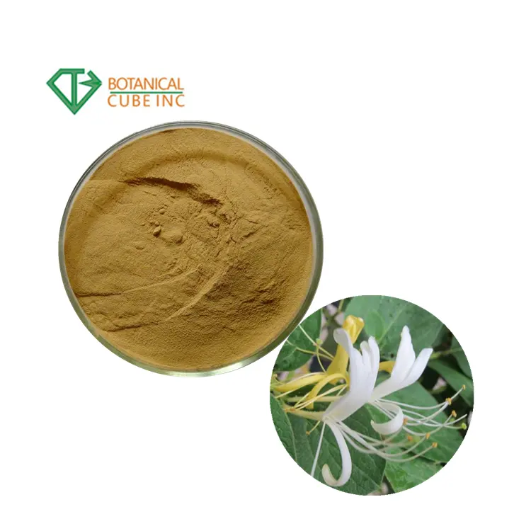 Tăng Cường Khả Năng Miễn Dịch Mật Ong Suckle Lonicera Japonica Powder Wild Dry Honeysuckle Flowers Extract.