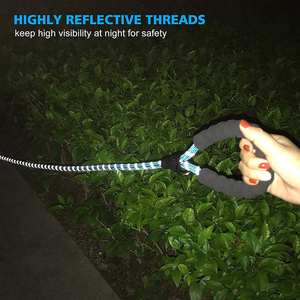 उच्च चिंतनशील नायलॉन वेबबिंग पालतू कुत्ते कॉलर पट्टा सेट कस्टम समायोज्य प्रशिक्षण ओएम डिजाइन लक्जरी शैली मुक्त नमूना कम मौक - Product Image 3