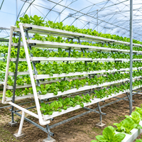Système hydroponique automatique NFT Skyplant de grande taille avec pompe pour l'agriculture écologique et le jardinage vertical
