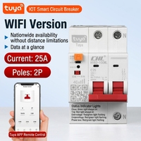Disjoncteur intelligent 4G 6kA bipolaire Graffiti avec contrôle à distance Wi-Fi pour téléphone portable, interrupteur temporisé pour pompe à eau