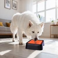 Gamelle flottante anti-éclaboussures et anti-bouche mouillée pour chien, en plastique personnalisé, à boisson lente, anti-déversement, portable et robuste