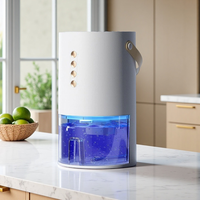 Déshumidificateur Portable Compact Rechargeable pour Maison, Bureau, Salle de Bain et Armoire - Idéal pour l'Export