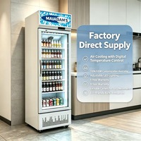 Réfrigérateur Commercial 300L à Porte Unique, Monotempérature, pour Boissons, Refroidissement Direct, Équipement de Réfrigération Domestique, Pratique