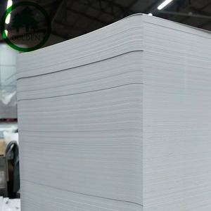 Cartón ecológico FBB C1S color marfil para envasado de alimentos congelados y producción de bandejas de papel - Product Image 3