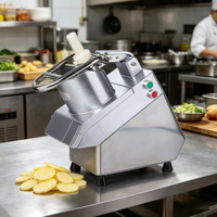 QC205A Commerciële Fruit- en Groente-aardappel Snijmachine 5-delige messenset Multifunctionele Hoge Efficiëntie Elektrische Snijmachine
