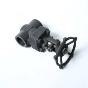 Van cổng tùy chỉnh ANSI 150-1500lb thép không gỉ A105 Hướng dẫn sử dụng 304 316 nữ ren NPT 1.6-100mpa Van cổng áp lực - Product Image 3