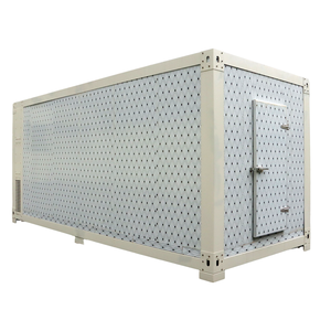 Porta della cella frigorifera dell'acciaio inossidabile galvanizzato Semi-Flush con la porta di stoccaggio a cerniera completamente interrata - Product Image 4