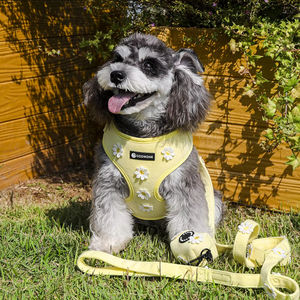 Harnais pour chien de dressage avec logo personnalisé harnais tricoté avec marguerite jaune collier de laisse ensemble distributeur de sacs à crottes bandana noeud papillon - Product Image 2
