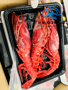 Langostinos Carabinero Congelados con Gran Sabor para Restaurantes, Hoteles y Servicios de Catering, Compre Ahora - Product Image 6