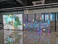 Pantalla LED Transparente de Aluminio Fundido Ligero, Pantalla Multimedia Curva de Vidrio para Publicidad en Centros Comerciales Grandes