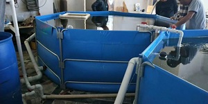 Lớn 9500 lít Bio Flock Poly Tank cho trong nhà Tôm & tôm hùm nuôi trồng thủy sản bể nước thiết bị sản xuất - Product Image 5