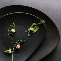 Vaisselle noire en forme de triangle émaillée de couleur européenne en gros pour hôtels et restaurants, tapas