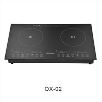 Table de cuisson électrique à 2 brûleurs avec verre trempé intégré, 24 pouces, allumage électronique, classe énergétique A, multi-cuiseur, usage commercial/domestique